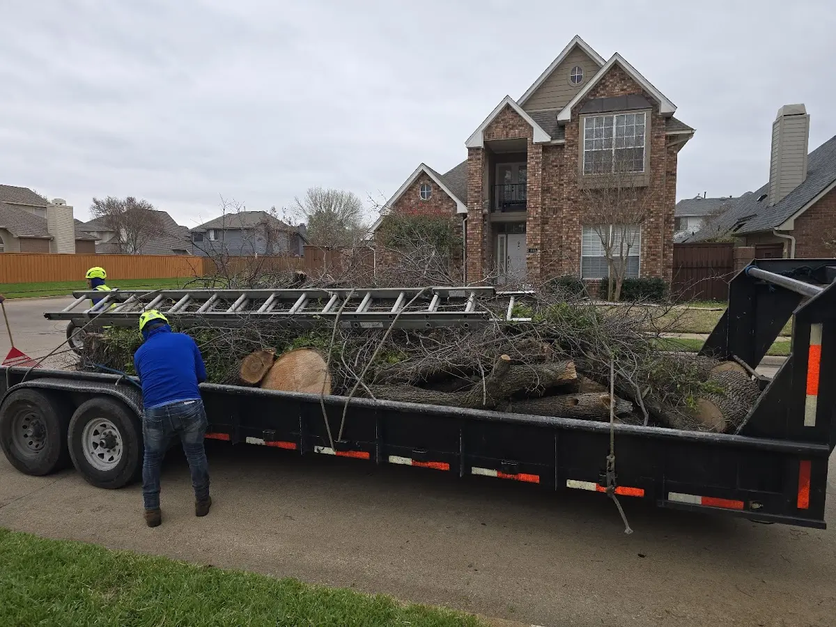 Expert Crown Reduction with proper safety equipment in Big Sandy